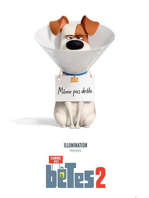 COMME DES BETES 2