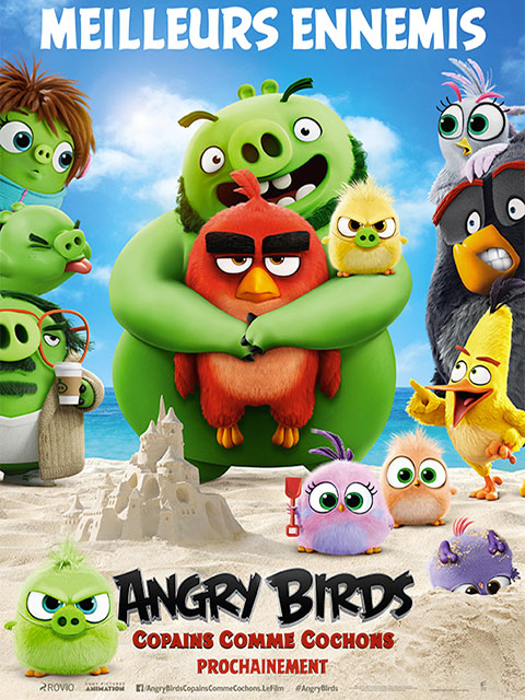 ANGRY BIRDS : COPAINS COMME COCHONS