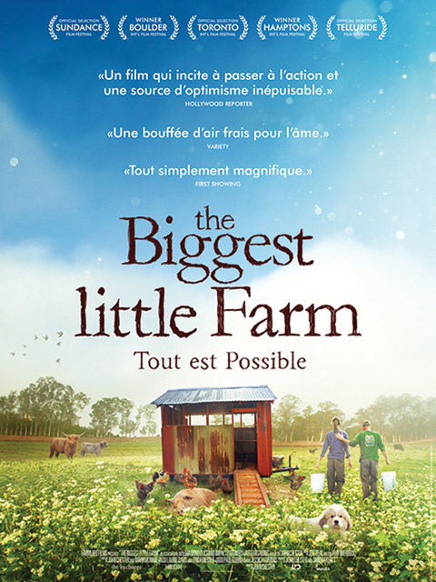 TOUT EST POSSIBLE