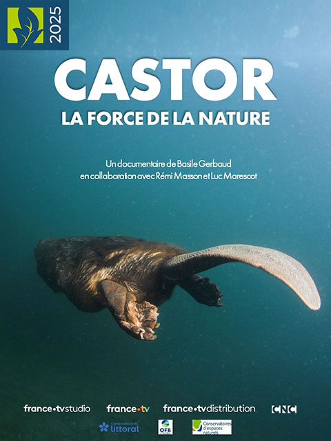 CASTOR, LA FORCE DE LA NATURE