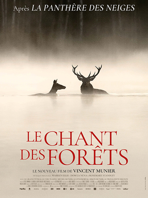 LE CHANT DES FORETS