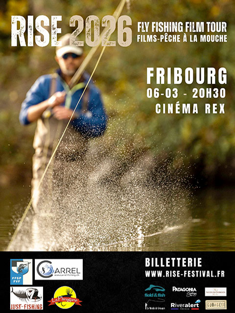 RISE FESTIVAL FRIBOURG 2026