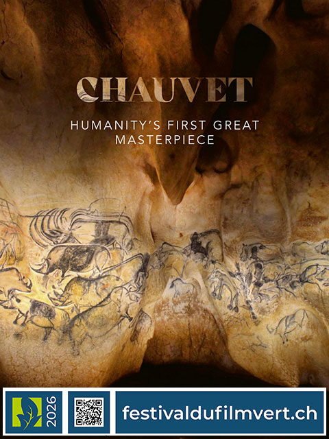 CHAUVET, VOYAGE AUX ORIGINES